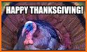 Thanksgiving Greeting Cards related image