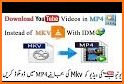 mp4 video downloader related image