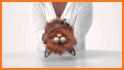 Furbacca related image