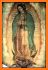 Virgin Of Guadalupe Among Roses Live Wallpaper related image