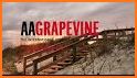 AA Grapevine related image