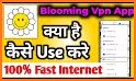 Blooming VPN related image