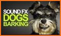 Barking Dog Sounds related image