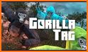 Gorilla Tag Walkthrough related image