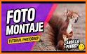 Fotos con animales, fotomontaje y filtros salvajes related image