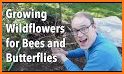 Grow Flowers & Bees related image