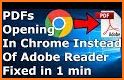 PDF File Reader related image