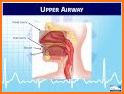 HUMAN ANATOMY & PHYSIOLOGY related image