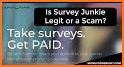 Survey Junkie related image