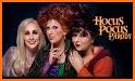 hocus. related image