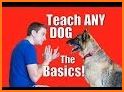 DogTraining related image