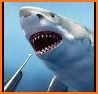 Hungry Shark Hunter : Wild Animal Hunting Games related image