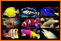 Marine Fish Aquarium related image