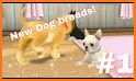 Pet Care: Dog Games related image