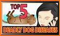 Dog health related image