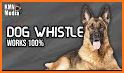 Anti Dog Barking Stop - Stop Dog Barking Whistle related image