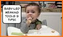 Baby Led Weaning - Guide & Recipes related image