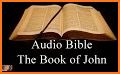 The NIV Audio Bible related image