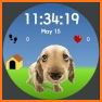 Animal Watch Face related image