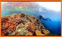 PI VR Coral Reefs related image