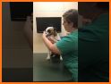 Lange Animal Hospital related image