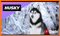 Husky for Pleroma related image