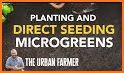 Microgreens Guide related image