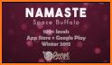 Namaste Space Buffalo related image