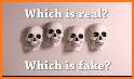 Halloween Fun Quiz related image