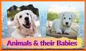 Montessori Vocabulary - Baby Animal Names related image