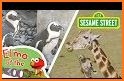 Elmo's Animals related image