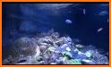 Peaceful Aquarium HD related image