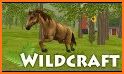 Wild Horse Simulator related image