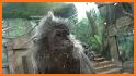 SmartZooMap - Columbus Zoo related image