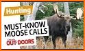 Moose Hunting Calls related image