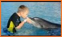 Sea Dolphin Pool Show: Animal Ocean Simulator🐬 related image