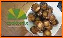 Cookomix - Recettes Thermomix related image