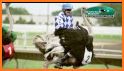 Ostrich race 3D related image