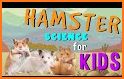 Cute Hamster Pet for Kids related image