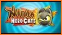 Ninja Hero Cats for Families related image