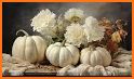 Pumpkin Wallpapers related image