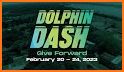 Dolphin Dash related image