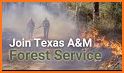 Texas A&M Forest Service Community Assessor related image