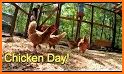 Chicken Coop related image