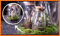 Terrarium related image