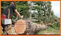 Chainsaw Lumber related image