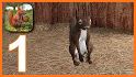 Squirrel Simulator 2 : Online related image