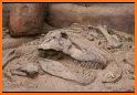 Paleontologist Dinosaur Digging Archeologist Fun related image