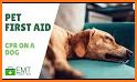 CPR Fort Collins Pet Shop & Pet CPR Course related image