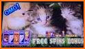 Kitten Slots related image